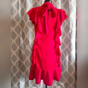 Charming Pink Ruffle Women Dress